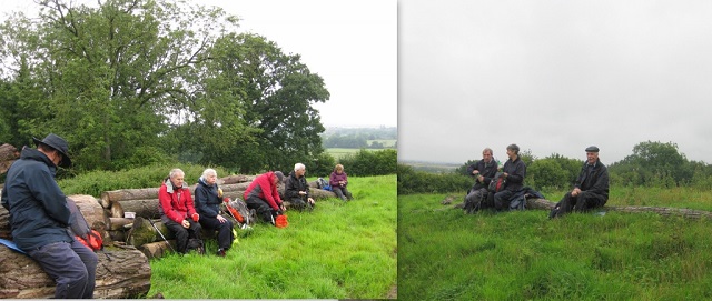 Some conveniently placed logs make a good place to stop for lunch