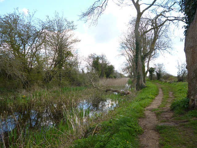 Canal Path