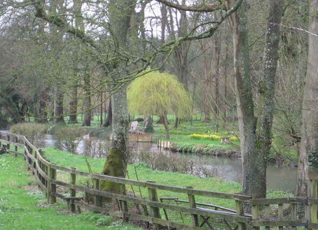 River view from road