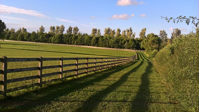 Walk3