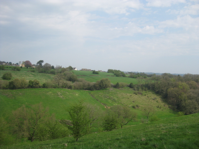 IMG 2539w