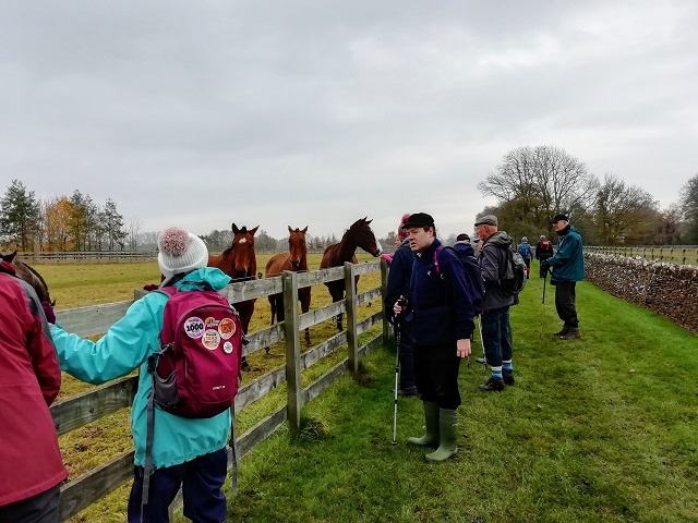 Path by horse paddock