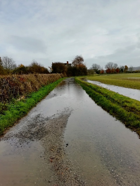 path with standing water